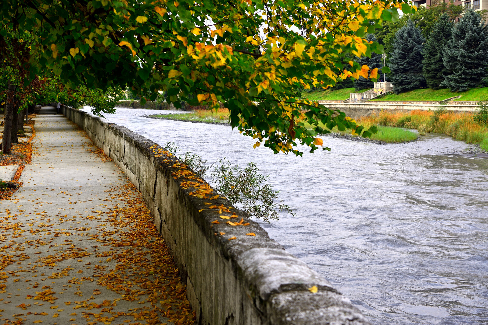 Набережная реки Терек
